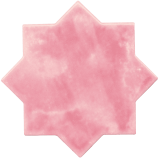Casa:1 Boden- und Wandfliesen CEVICA BECOLORS 13,6x13,6 cm Star Coral