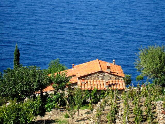 Medditerran wohnen - ein Haus am Meer, davon träumen viele